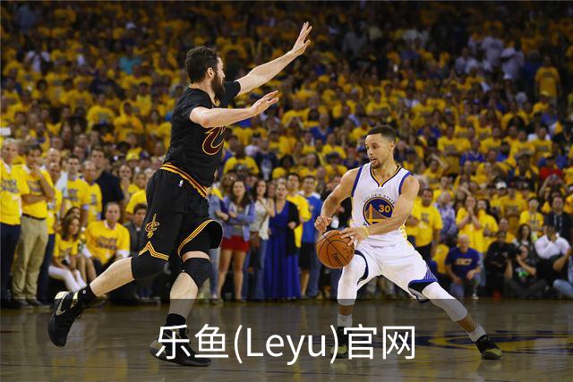 乐鱼(Leyu)官网公司简介